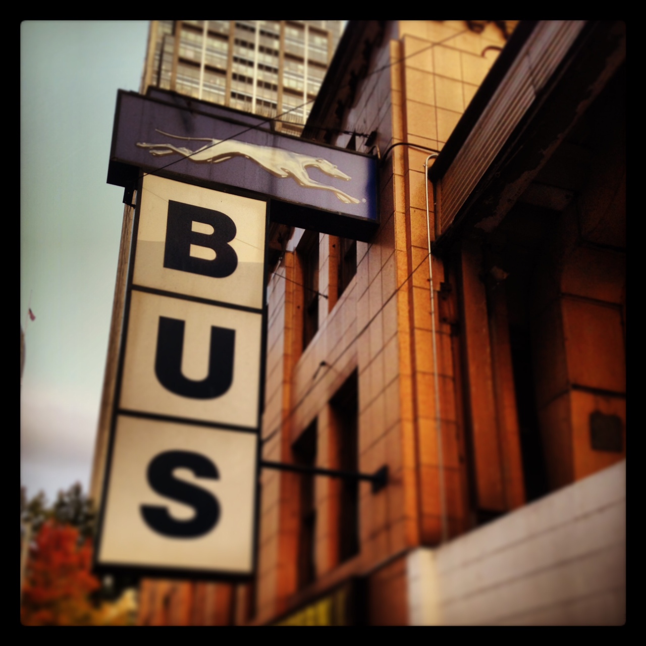 greyhound bus sign