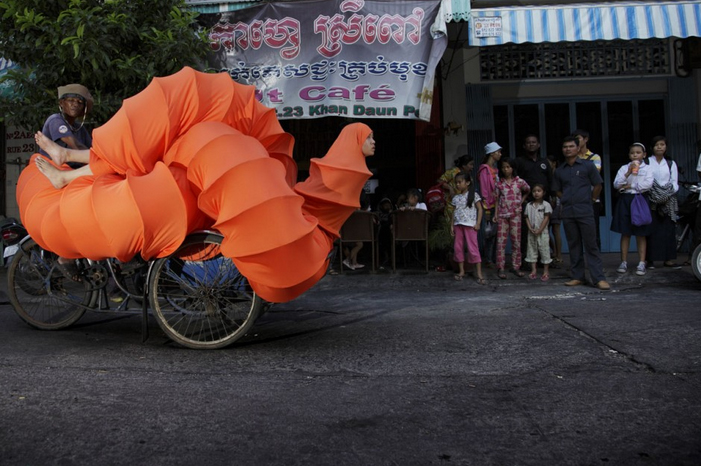 buddhist bug