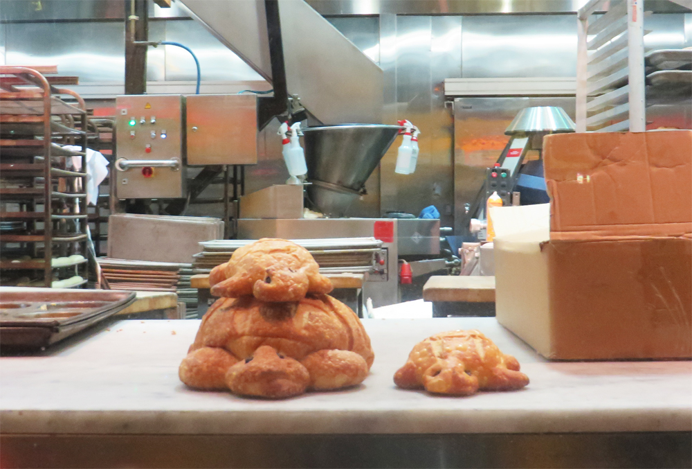 sourdough turtles in the window at boudin at fisherman's wharf in san francisco