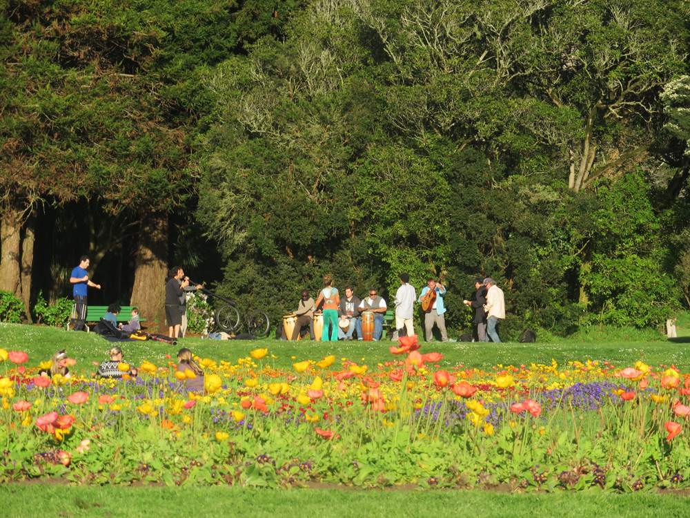 golden-gate-park-musicians