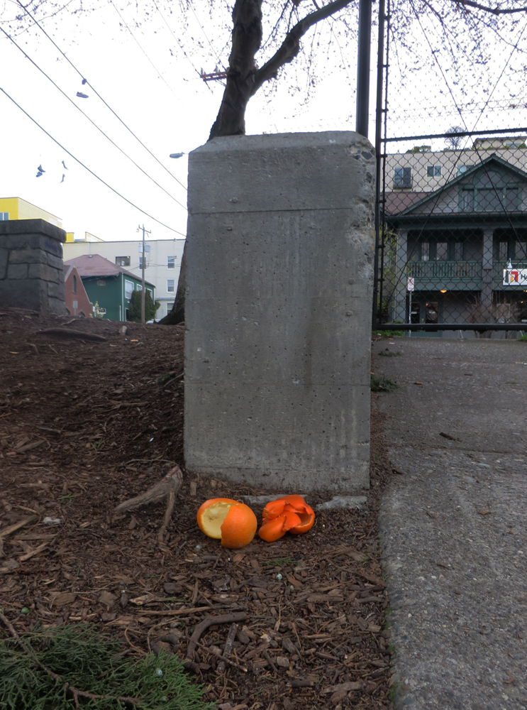 two orange peels, empty, in Bobby Morris Field in Seattle