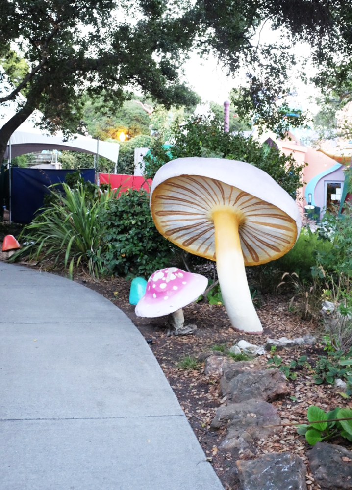 Mushrooms at Oakland's Fairyland