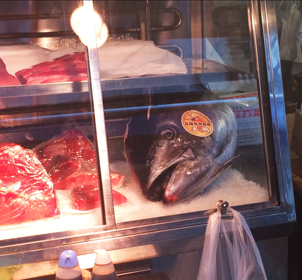 A big giant fish head in a case of ice at Tsukiji Market