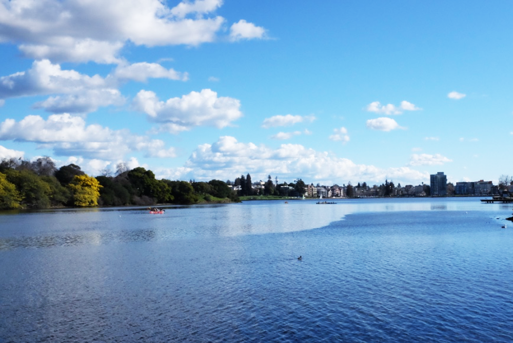 Oakland's Lake Merritt in January