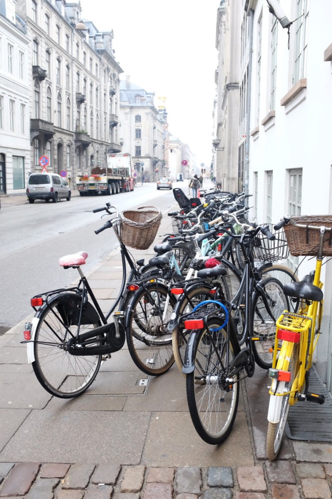 copenhagen-majestic-bike-herd