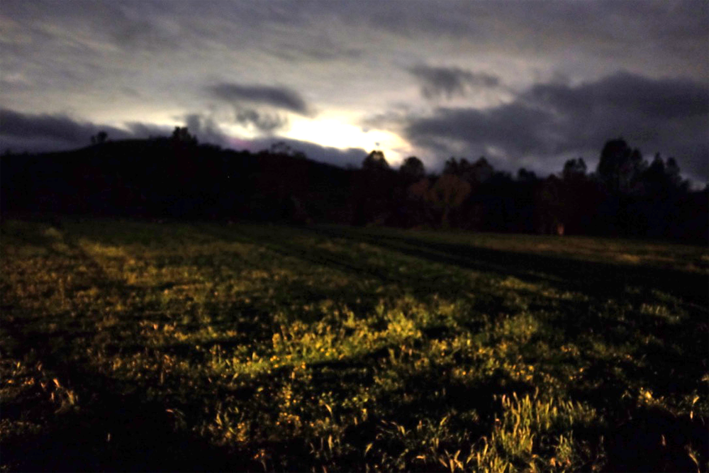 Long-exposure photo of a field at night in Santa Margarita, CA