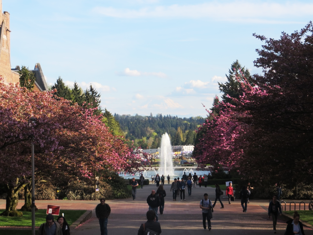 The University of Washington fountain and Mount Rainier