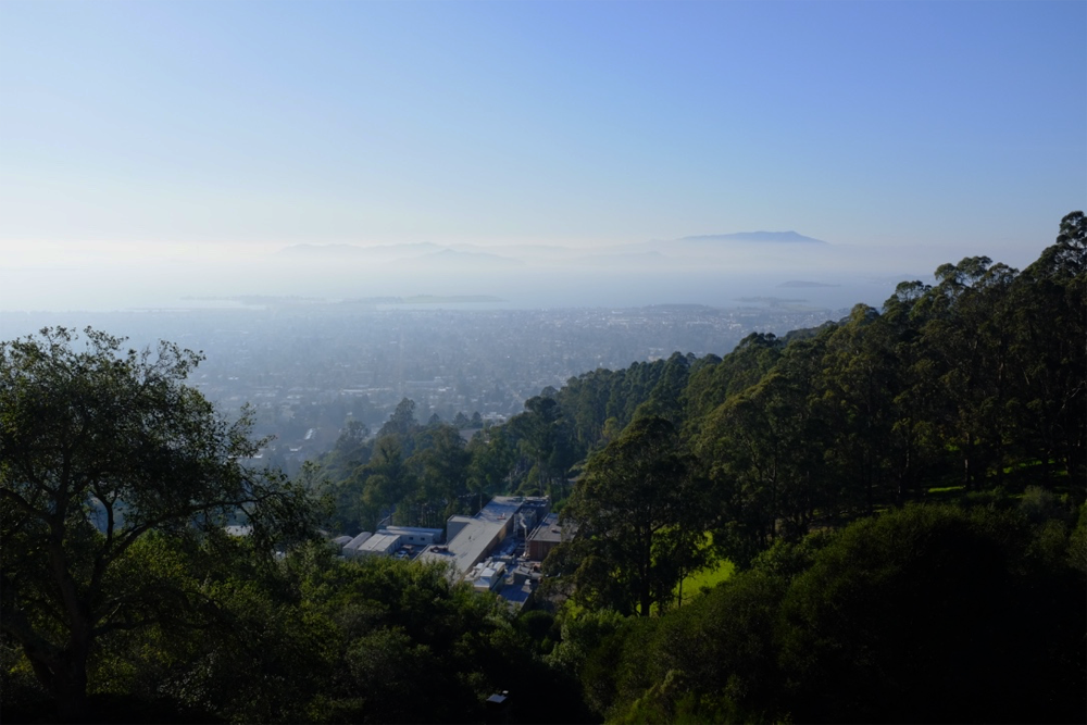 Two green hills and the San Francisco Bay, leading to the horizon on a sunny day