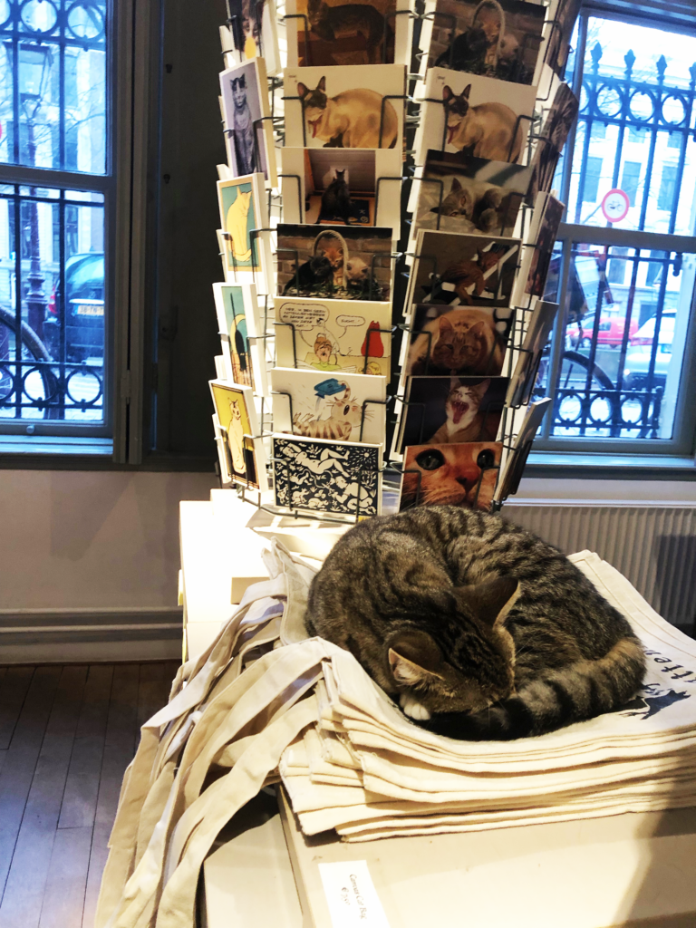 A photo of a cat curled up and sleeping on a pile of souvenir tote bags, in front of a rack of postcards with photos and drawings of cats on them