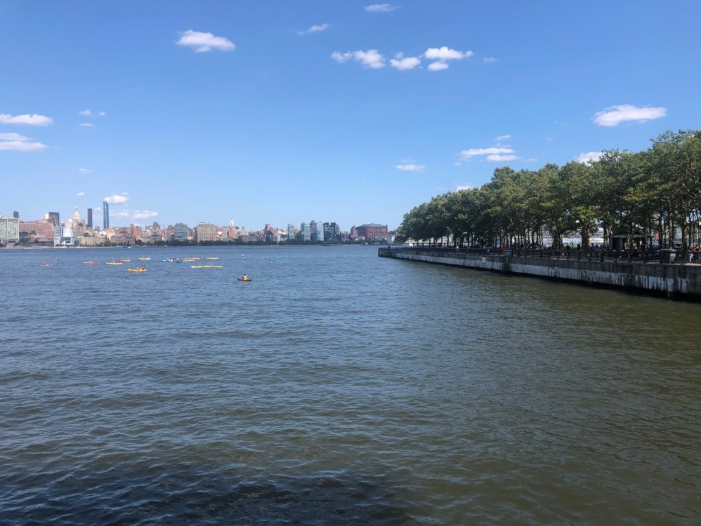 a tree-lined piece of land meets the water, the cityscape behind it