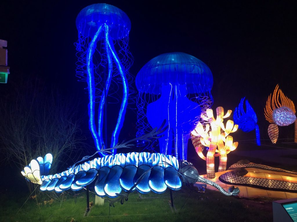 Large illuminated lanterns in the shape of jellyfish and other sea creatures